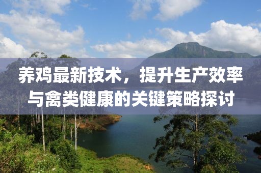 養(yǎng)雞最新技術(shù)，提升生產(chǎn)效率與禽類健康的關(guān)鍵策略探討