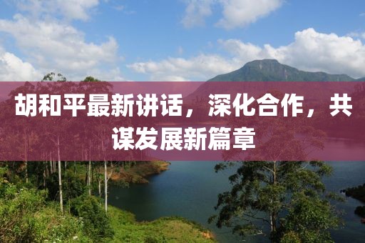 胡和平最新講話，深化合作，共謀發(fā)展新篇章