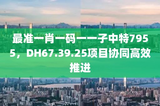 最準(zhǔn)一肖一碼一一子中特7955，DH67.39.25項目協(xié)同高效推進(jìn)