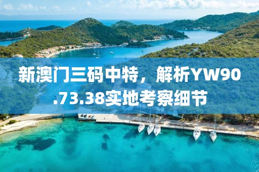 新澳門三碼中特，解析YW90.73.38實地考察細節(jié)
