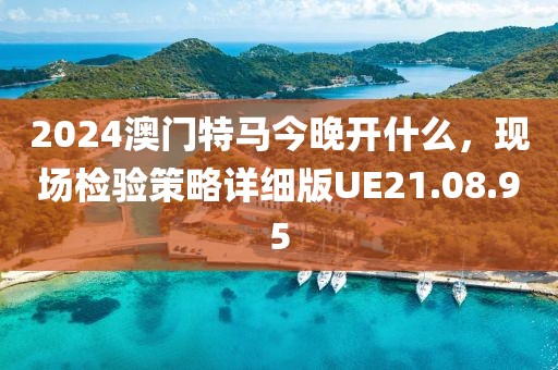 2024澳門特馬今晚開什么，現(xiàn)場檢驗策略詳細(xì)版UE21.08.95