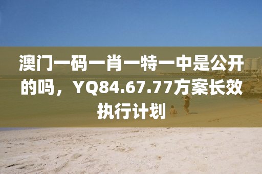 澳門一碼一肖一特一中是公開的嗎，YQ84.67.77方案長效執(zhí)行計劃