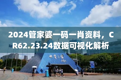 2024管家婆一碼一肖資料，CR62.23.24數(shù)據(jù)可視化解析