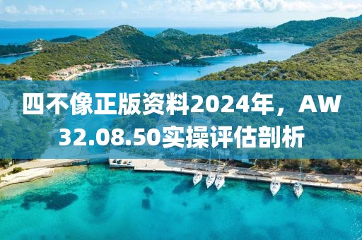 四不像正版資料2024年，AW32.08.50實(shí)操評(píng)估剖析