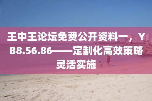 王中王論壇免費(fèi)公開資料一，YB8.56.86——定制化高效策略靈活實(shí)施