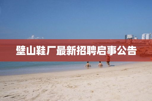 婆家一肖一碼100，基于數(shù)據(jù)的設(shè)計(jì)策略LL79.59.71