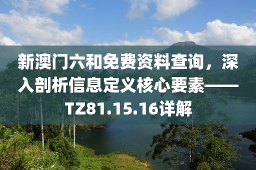 新澳門六和免費(fèi)資料查詢，深入剖析信息定義核心要素——TZ81.15.16詳解