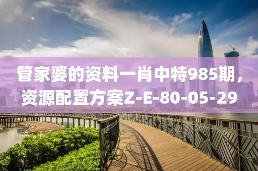 管家婆的資料一肖中特985期，資源配置方案Z-E-80-05-29
