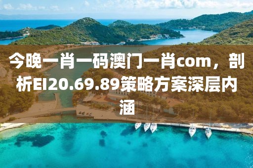 今晚一肖一碼澳門一肖com，剖析EI20.69.89策略方案深層內(nèi)涵
