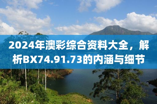 2024年澳彩綜合資料大全，解析BX74.91.73的內(nèi)涵與細(xì)節(jié)