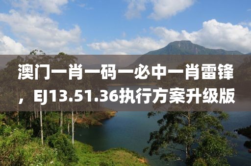 澳門一肖一碼一必中一肖雷鋒，EJ13.51.36執(zhí)行方案升級(jí)版