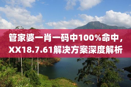 管家婆一肖一碼中100%命中，XX18.7.61解決方案深度解析