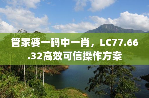 管家婆一碼中一肖，LC77.66.32高效可信操作方案