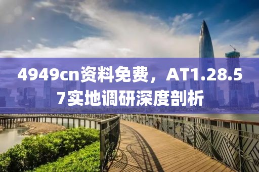 4949cn資料免費(fèi)，AT1.28.57實(shí)地調(diào)研深度剖析