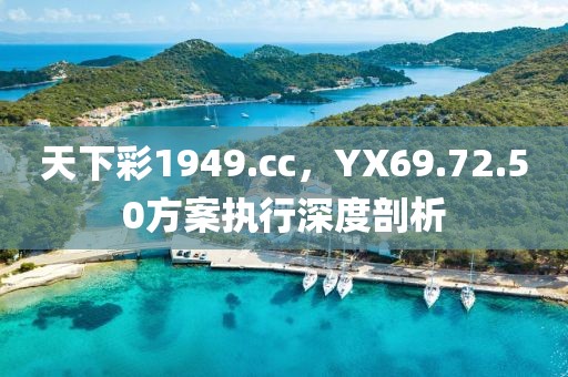 天下彩1949.cc，YX69.72.50方案執(zhí)行深度剖析