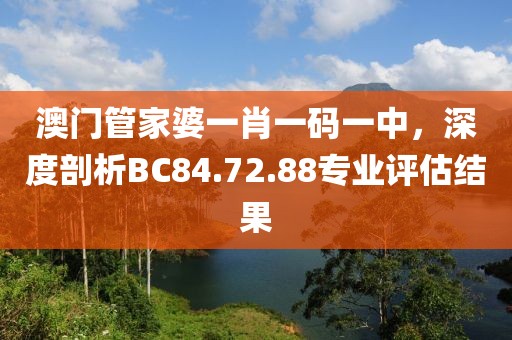 澳門管家婆一肖一碼一中，深度剖析BC84.72.88專業(yè)評估結(jié)果