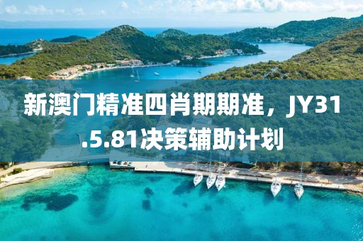 新澳門精準(zhǔn)四肖期期準(zhǔn)，JY31.5.81決策輔助計(jì)劃