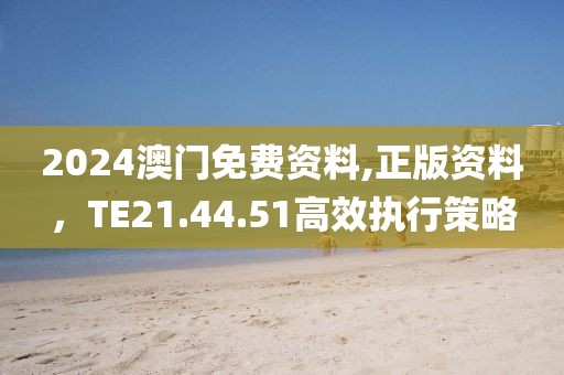 2024澳門免費(fèi)資料,正版資料，TE21.44.51高效執(zhí)行策略