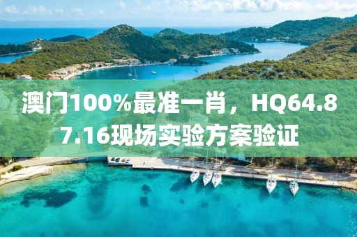 澳門100%最準(zhǔn)一肖，HQ64.87.16現(xiàn)場實(shí)驗(yàn)方案驗(yàn)證