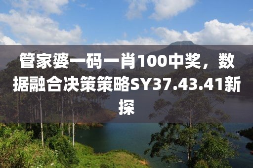 管家婆一碼一肖100中獎(jiǎng)，數(shù)據(jù)融合決策策略SY37.43.41新探