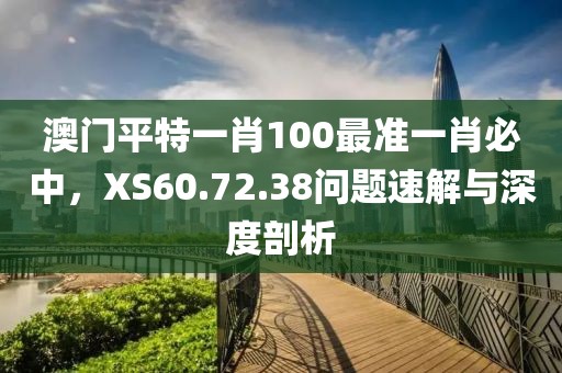 澳門平特一肖100最準一肖必中，XS60.72.38問題速解與深度剖析
