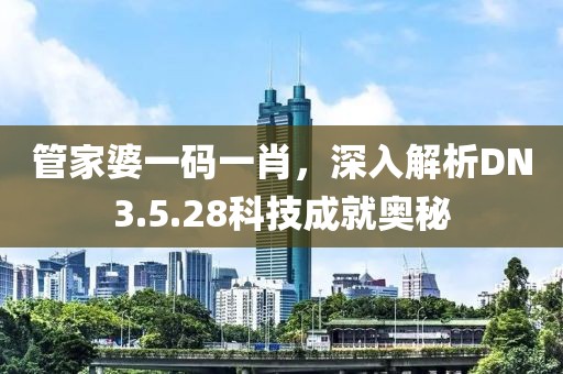 管家婆一碼一肖，深入解析DN3.5.28科技成就奧秘