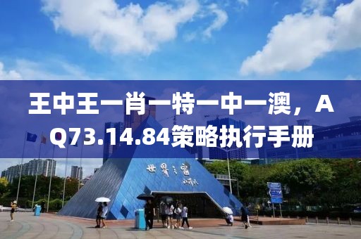 王中王一肖一特一中一澳，AQ73.14.84策略執(zhí)行手冊