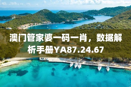 澳門管家婆一碼一肖，數(shù)據(jù)解析手冊YA87.24.67
