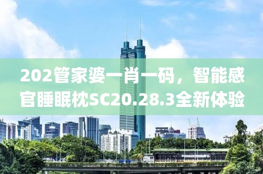 202管家婆一肖一碼，智能感官睡眠枕SC20.28.3全新體驗(yàn)