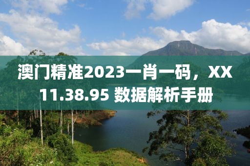 澳門精準(zhǔn)2023一肖一碼，XX11.38.95 數(shù)據(jù)解析手冊