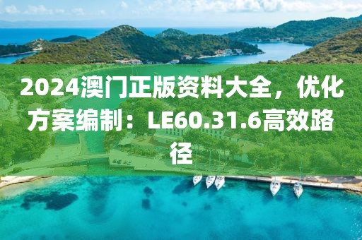 2024澳門(mén)正版資料大全，優(yōu)化方案編制：LE60.31.6高效路徑