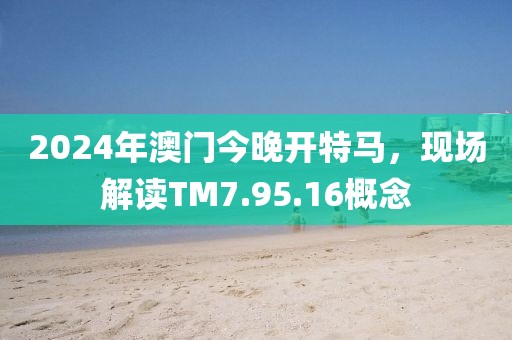 2024年澳門今晚開特馬，現(xiàn)場解讀TM7.95.16概念
