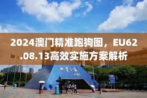 2024澳門精準(zhǔn)跑狗圖，EU62.08.13高效實施方案解析