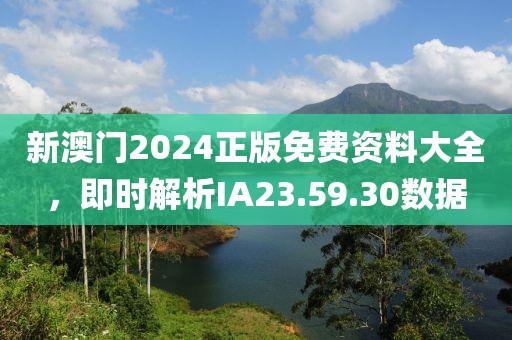 新澳門2024正版免費(fèi)資料大全，即時(shí)解析IA23.59.30數(shù)據(jù)