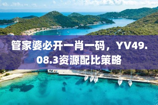管家婆必開一肖一碼，YV49.08.3資源配比策略