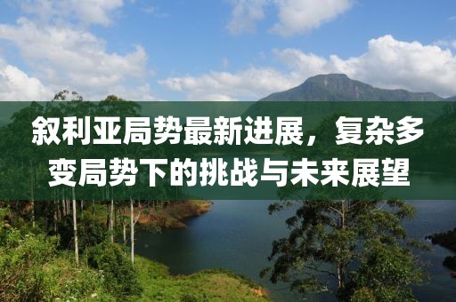 敘利亞局勢(shì)最新進(jìn)展，復(fù)雜多變局勢(shì)下的挑戰(zhàn)與未來(lái)展望