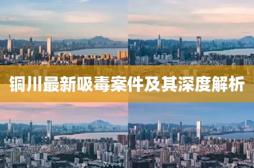 銅川最新吸毒案件及其深度解析