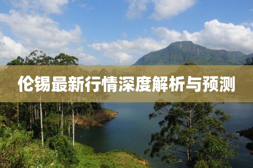 倫錫最新行情深度解析與預測