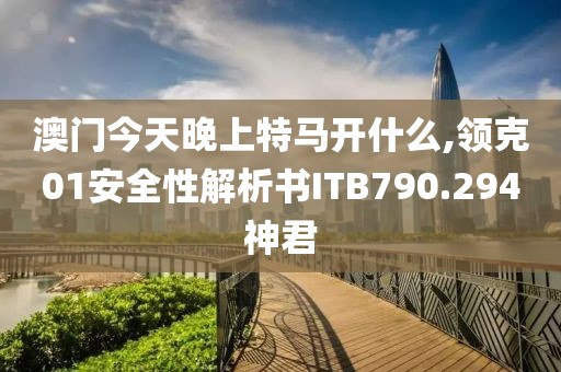 武漢打架事件最新進展與深度解析揭秘