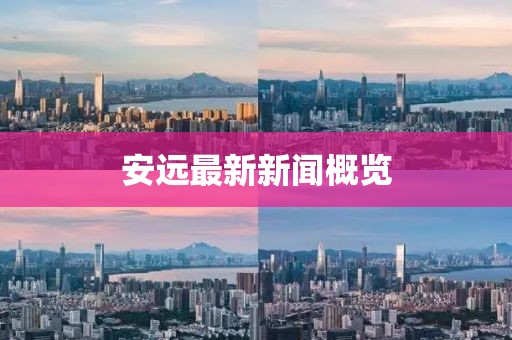 安遠(yuǎn)最新新聞概覽