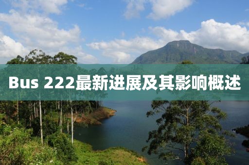 Bus 222最新進(jìn)展及其影響概述