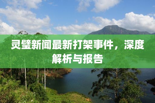 靈璧新聞最新打架事件，深度解析與報(bào)告