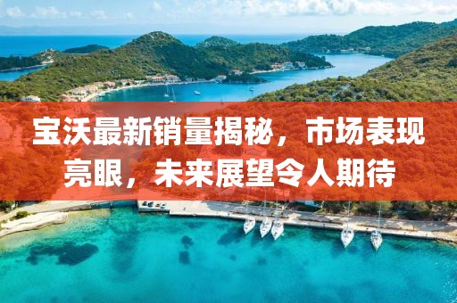 寶沃最新銷量揭秘，市場(chǎng)表現(xiàn)亮眼，未來(lái)展望令人期待
