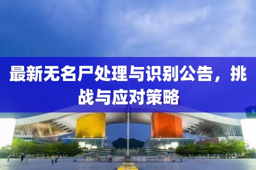 最新無名尸處理與識別公告，挑戰(zhàn)與應(yīng)對策略