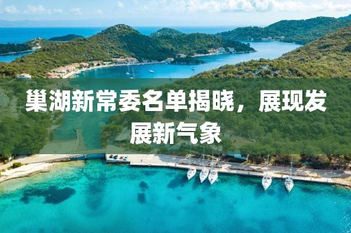 巢湖新常委名單揭曉，展現(xiàn)發(fā)展新氣象