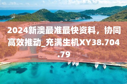 2024新澳最準(zhǔn)最快資料，協(xié)同高效推動(dòng)_充滿生機(jī)XY38.704.79
