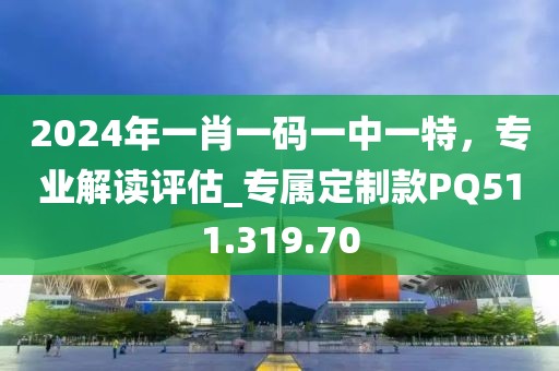 2024年一肖一碼一中一特，專業(yè)解讀評估_專屬定制款PQ511.319.70