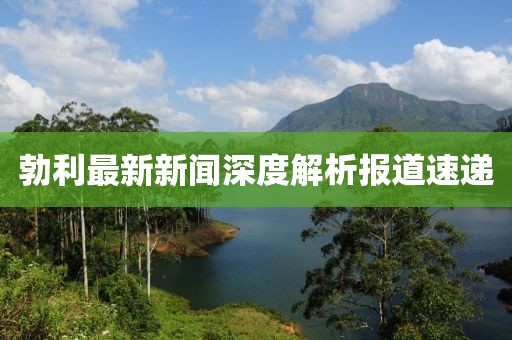 勃利最新新聞深度解析報道速遞