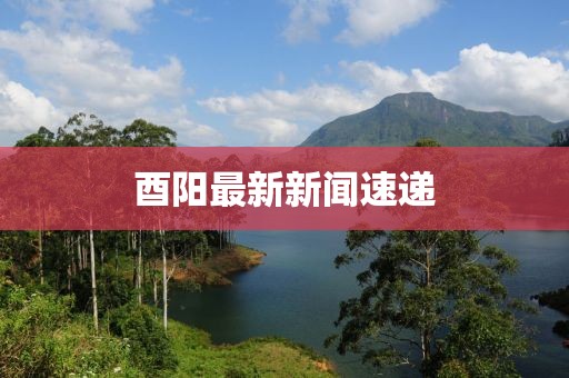 酉陽最新新聞速遞