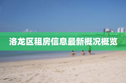 洛龍區(qū)租房信息最新概況概覽